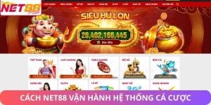 cách Net88 vận hành hệ thống cá cược