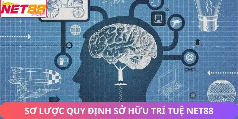 Quy Định Bản Quyền Net88: Chính Sách Bảo Vệ Tài Sản Net88 Sơ lược quy định sở hữu trí tuệ Net88
