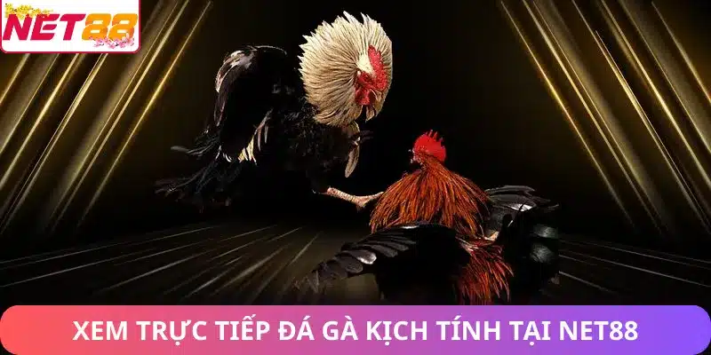 Xem trực tiếp đá gà kịch tính tại Net88